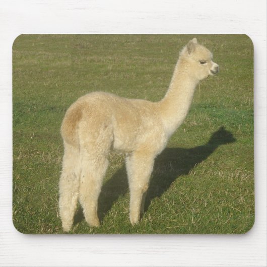 Fawn Alpaca Mousepad (Vorne)