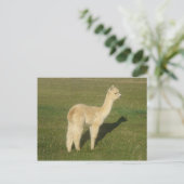 Fawn Alpaca Postkarte (Stehend Vorderseite)