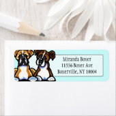 Fawn and Brindle Boxer Studio Aqua (Insitu)