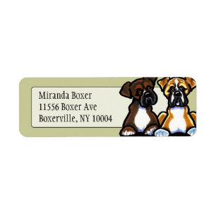 Fawn and Dark Brindle Boxer Studio Tan