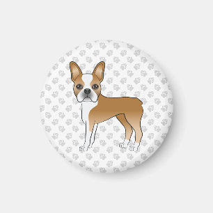 Fawn and White Boston Terrier Cartoon Dog & Paws Magnet