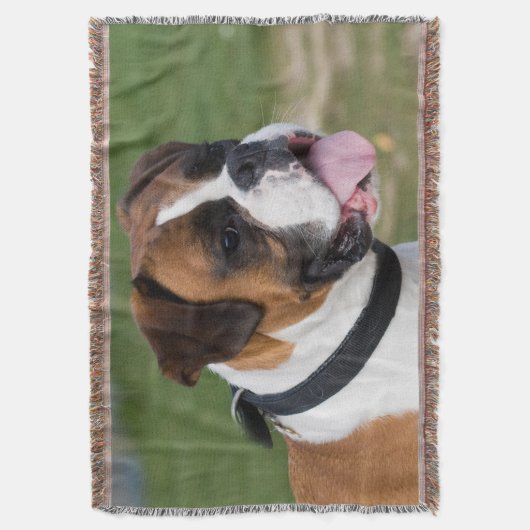 Fawn and White Boxer Puppy Dog Decke (Vorderseite Vertikal)