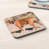 Fawn and White Boxer Puppy Dog Getränkeuntersetzer (Linke Seite)