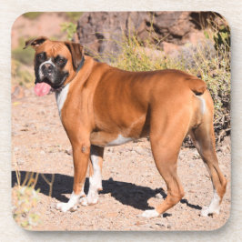 Fawn and White Boxer Puppy Dog Getränkeuntersetzer