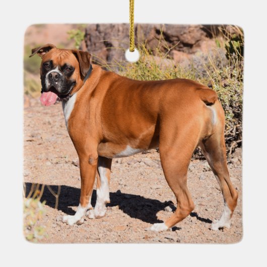 Fawn and White Boxer Puppy Dog Keramikornament (Rückseite)