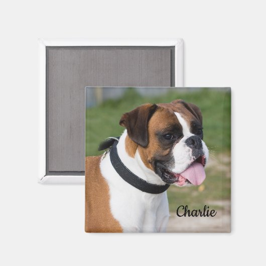 Fawn and White Boxer Puppy Dog Magnet (Vorderseite/Rückseite)