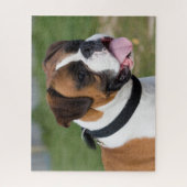 Fawn and White Boxer Puppy Dog Puzzle (Vertikal)