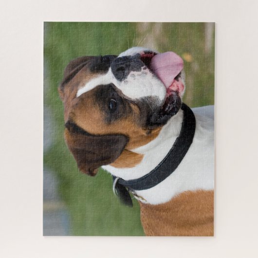 Fawn and White Boxer Puppy Dog Puzzle (Vertikal)