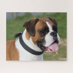 Fawn and White Boxer Puppy Dog Puzzle