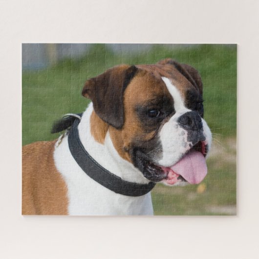 Fawn and White Boxer Puppy Dog Puzzle (Horizontal)