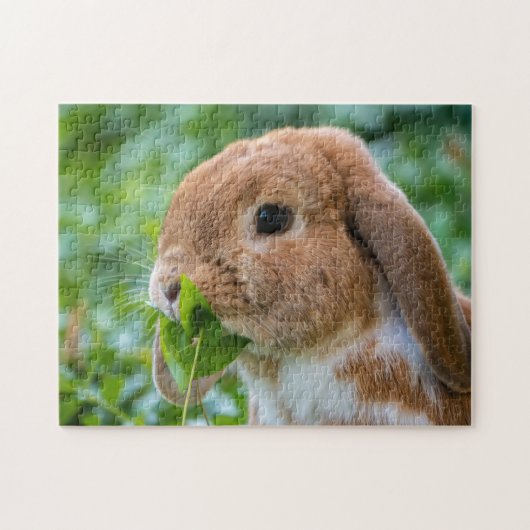 Fawn and White Holland Lop Bunny Rabbit Puzzle (Horizontal)