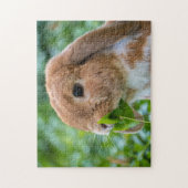 Fawn and White Holland Lop Bunny Rabbit Puzzle (Vertikal)