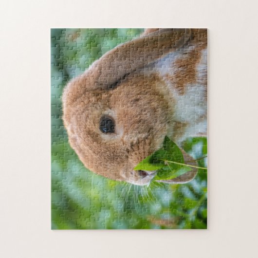 Fawn and White Holland Lop Bunny Rabbit Puzzle (Vertikal)