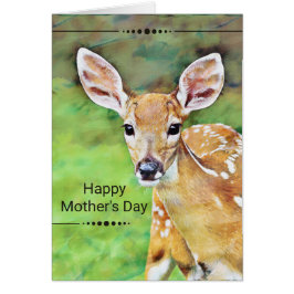Fawn Baby Deer Happy Mother Day