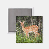 Fawn Baby Deer Woodland Animals Magnet (Vorderseite/Rückseite)