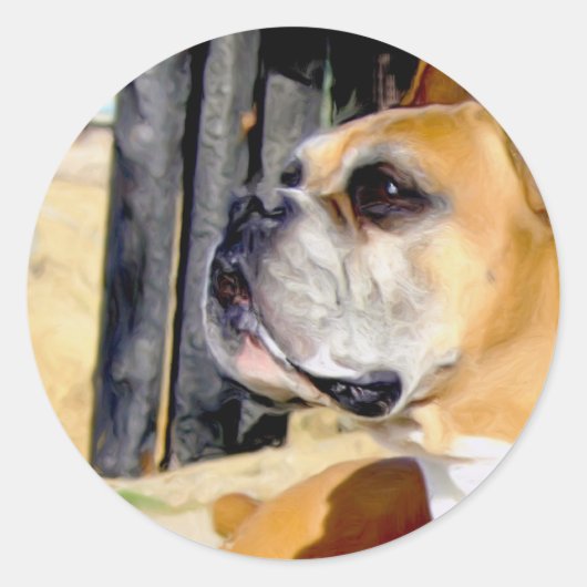 Fawn Boxer Dog Aufkleber (Vorderseite)