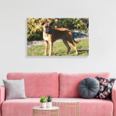 Fawn Boxer Dog Stehend Leinwanddruck (Insitu (Wohnzimmer))