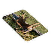 Fawn Boxer Dog Stehend Magnet (Rechte Seite)