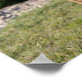 Fawn Boxer Dog Stehend Poster (Ecke)