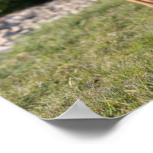 Fawn Boxer Dog Stehend Poster (Ecke)