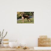 Fawn Boxer Dog Stehend Poster (Küche)