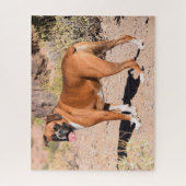 Fawn Boxer Puppy Dog Puzzle (Vertikal)