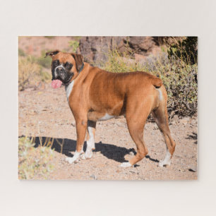 Fawn Boxer Puppy Dog Puzzle