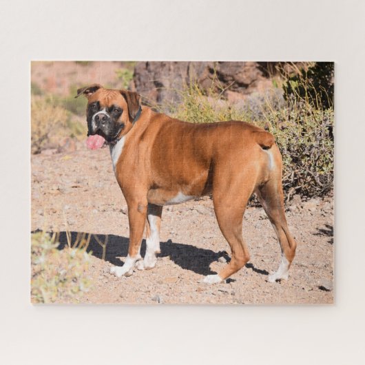 Fawn Boxer Puppy Dog Puzzle (Horizontal)