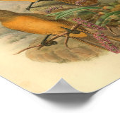 Fawn Breasted Wood Shrike Yellow Bird Print Poster (Ecke)