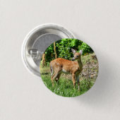 Fawn Button (Vorne & Hinten)
