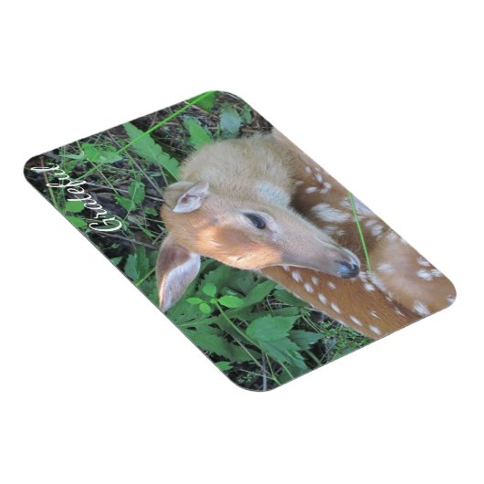 Fawn Dankbarkeit Magnet (Rechte Seite)