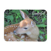 Fawn Dankbarkeit Magnet (Horizontal)