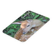 Fawn Dankbarkeit Magnet (Linke Seite)