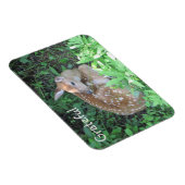 Fawn Dankbarkeit Magnet (Rechte Seite)