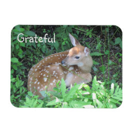 Fawn Dankbarkeit Magnet