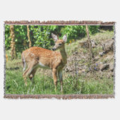 Fawn Decke (Vorderseite)