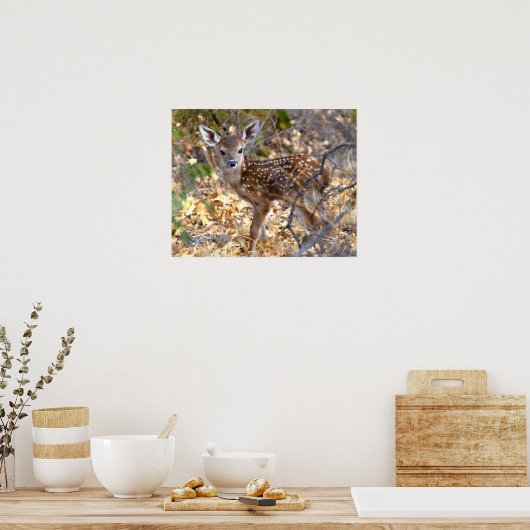 Fawn Deer Foto Poster (Küche)