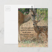 Fawn Deer Nature Wildlife Christlich Creationarts Postkarte (Vorne/Hinten)