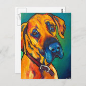 Fawn Great Dane Postkarte (Vorne/Hinten)