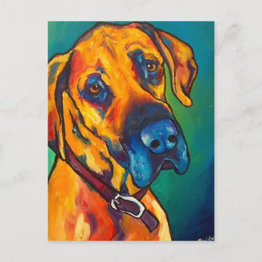 Fawn Great Dane Postkarte (Vorderseite)