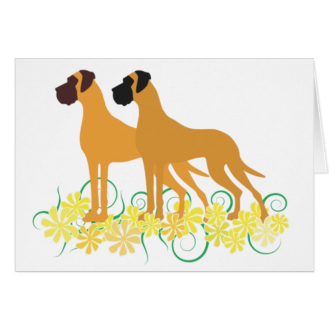 Fawn Great Danes (Vorderseite (Horizontal))