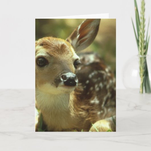 Fawn Greeting Card Karte (Vorderseite)