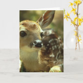 Fawn Greeting Card Karte (Gelbe Blume)