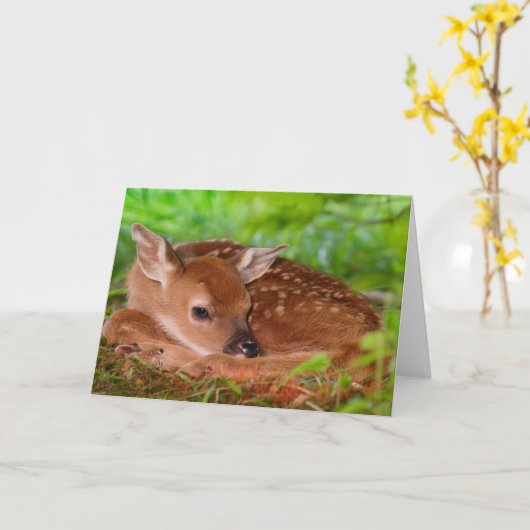 Fawn Greeting Card Karte (Gelbe Blume)