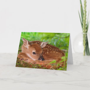 Fawn Greeting Card Karte