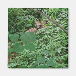 FAWN in Blätter des grünen Herzens — Magnet