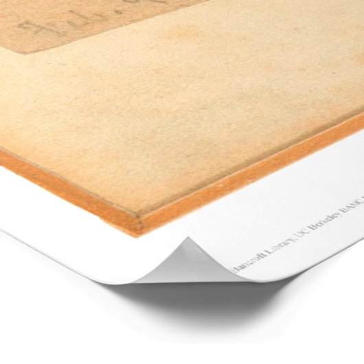 Fawn in Forest (0567A) Poster (Ecke)