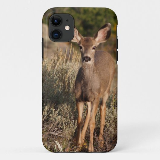 Fawn iPhone 5 Case-Mate iPhone Hülle (Rückseite)