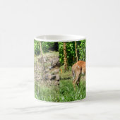 Fawn Kaffeetasse (Mittel)