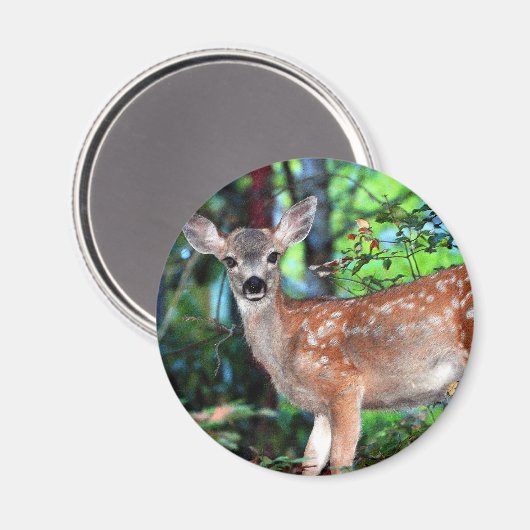 Fawn Magnet (Vorderseite/Rückseite)